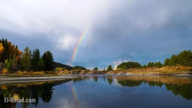 National Parks Honor Trump’s Birthday; Drop MLK Day, Juneteenth from Free Days