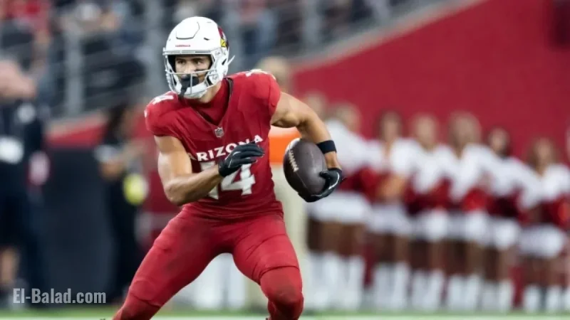 NFL 2025 Week 14: Start/Sit Picks, Michael Wilson Returns