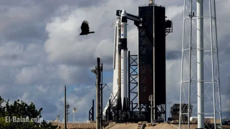SpaceX Eyes Record $800B Valuation in Secondary Sale Talks