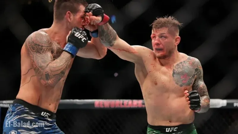 UFC 323: Marvin Vettori vs. Brunno Ferreira Prediction and Pick