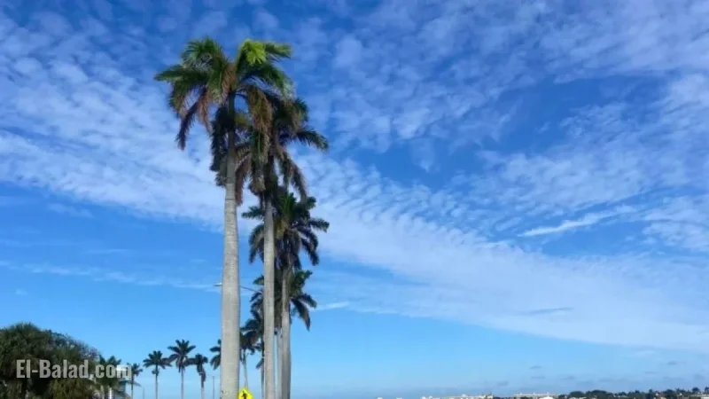 Warm Weekend Anticipated Ahead of Approaching Cold Front