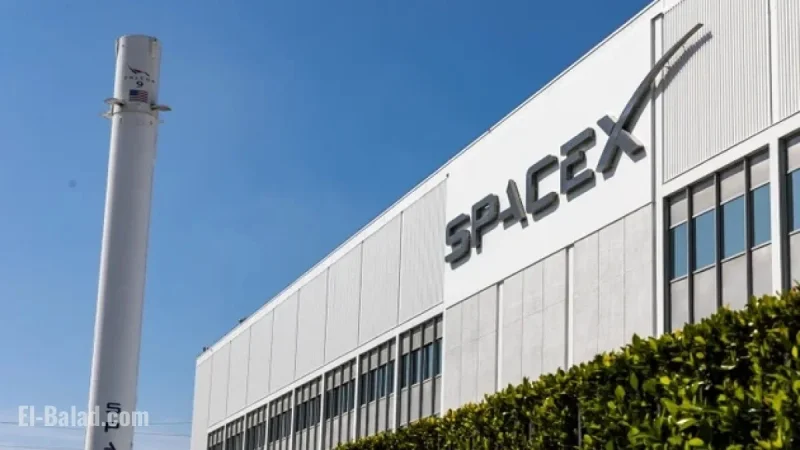Elon Musk Denies Reports of SpaceX’s $800 Billion Valuation