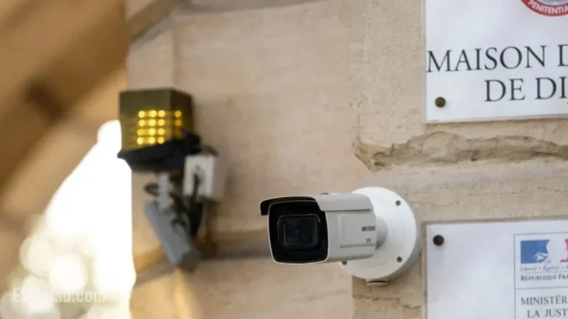 “Escaped Dijon Convict Blinded Ex-Partner with Fork, Lawyer Reveals”