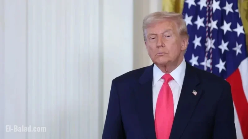 Trump Establishes Task Forces to Tackle Food Supply Chain Issues