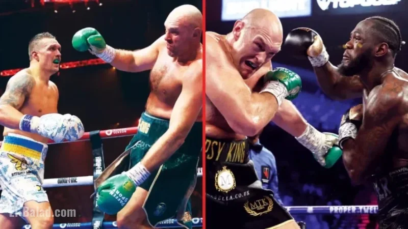 Tyson Fury Evaluates Usyk, Wilder Power as Usyk Offers Title Bout