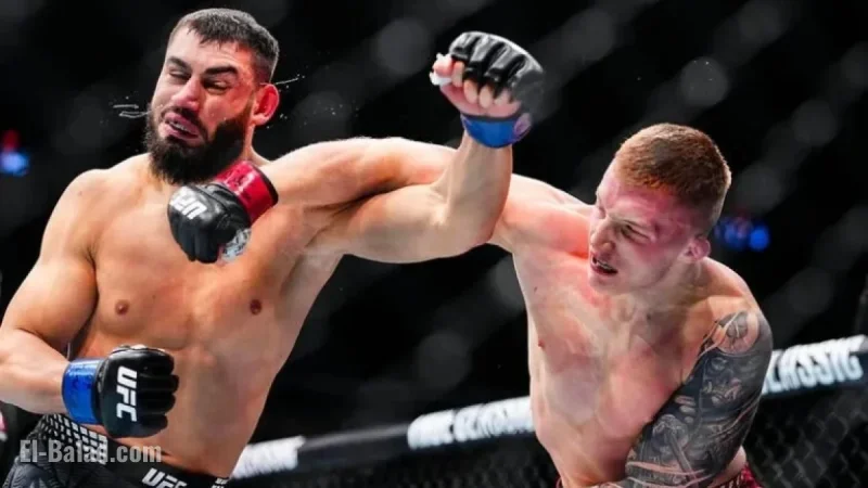 UFC 323 Prelims: Dvalishvili Battles Yan in Rematch