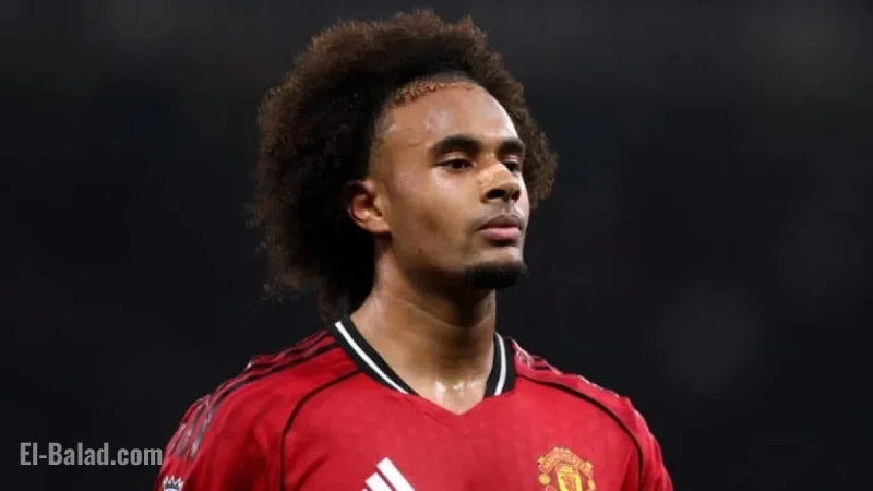 Zirkzee Eyes Exit from United, Roma Optimistic