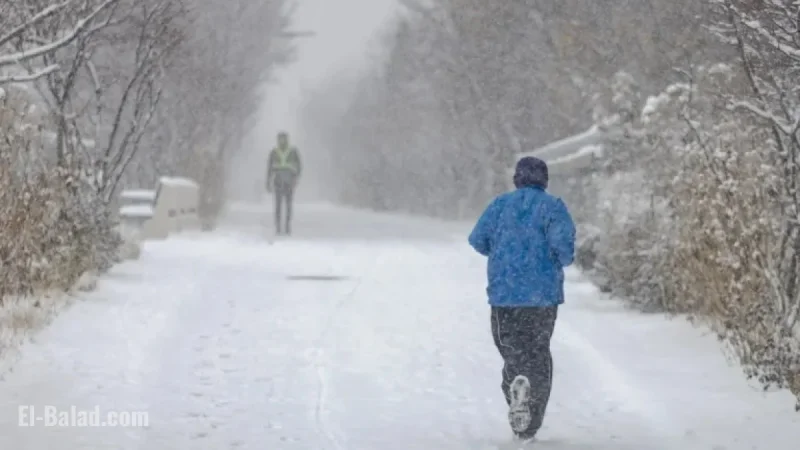 Chicago Records Snowiest Winter Start Since 1978 After Weekend Storm