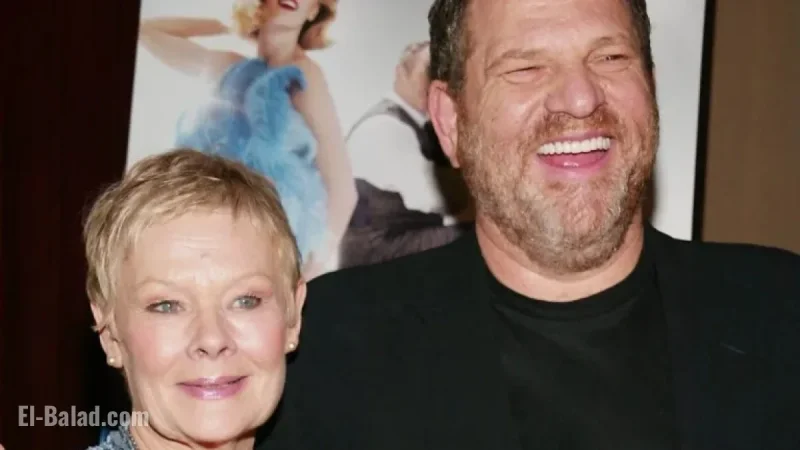Harvey Weinstein Claims Completion of Sentence After Rape Conviction