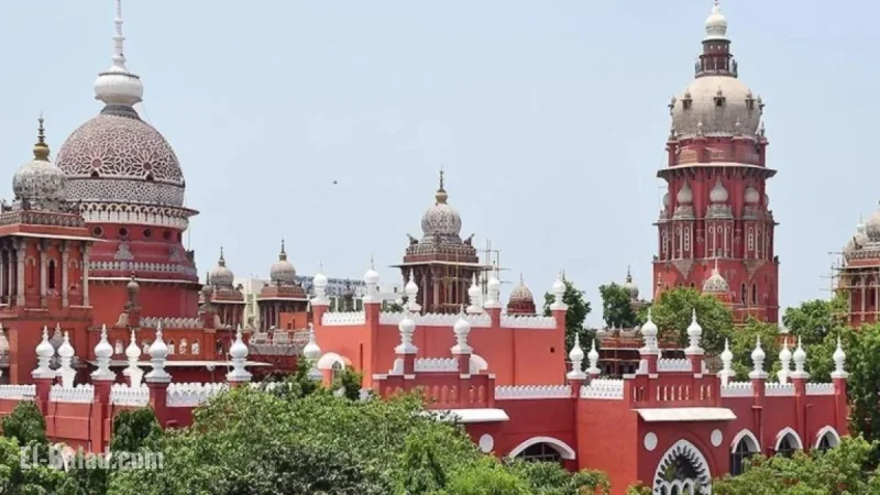 Madras High Court Allows HR&CE to Investigate Temple Mismanagement