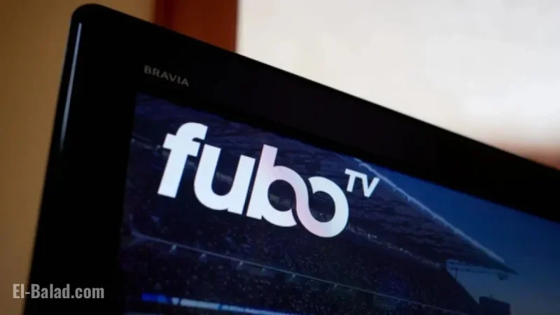 Streaming Platform Cuts Monthly Fees in Uncommon Move