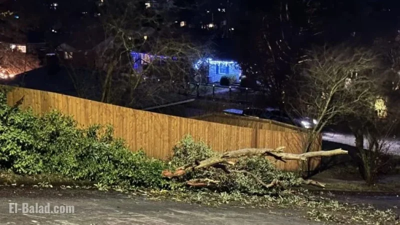 West Seattle Braces for Wind Advisory on Monday