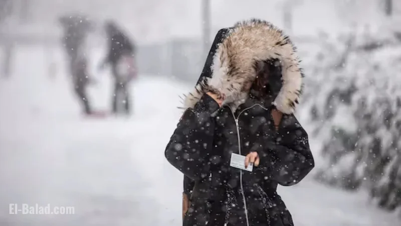 Alberta Faces Snowfall Warnings Amid Wintry Weather Blast