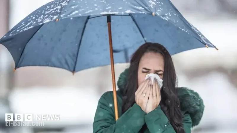 Health Secretary Warns of Imminent Flu Case Surge
