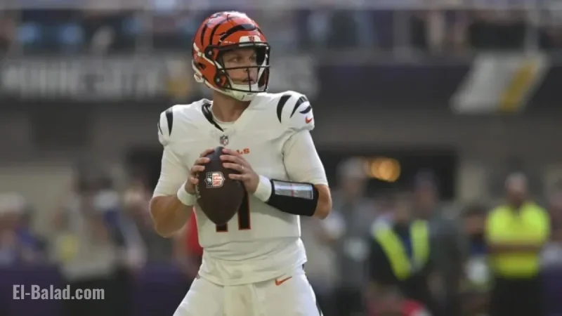 Indianapolis Colts QB Brett Rypien: Age, Stats, Salary, Transactions Details