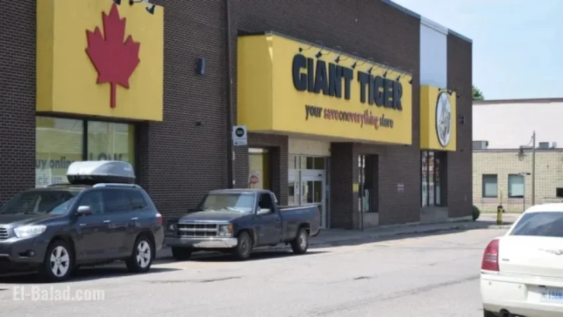 McCain Recalls Tater Tots Sold at Canada’s Giant Tiger