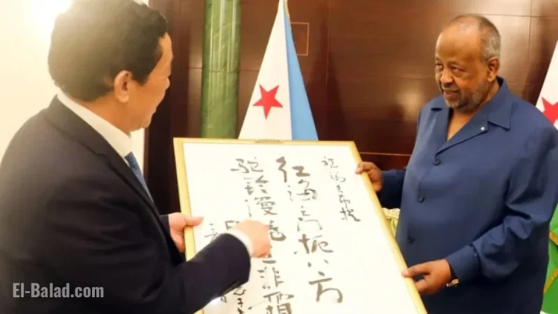 President of Djibouti Ismaïl Omar Guelleh Attends Bilateral Meeting
