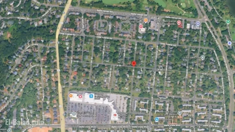 Rabies Found in Cat After Belle Haven Attacks