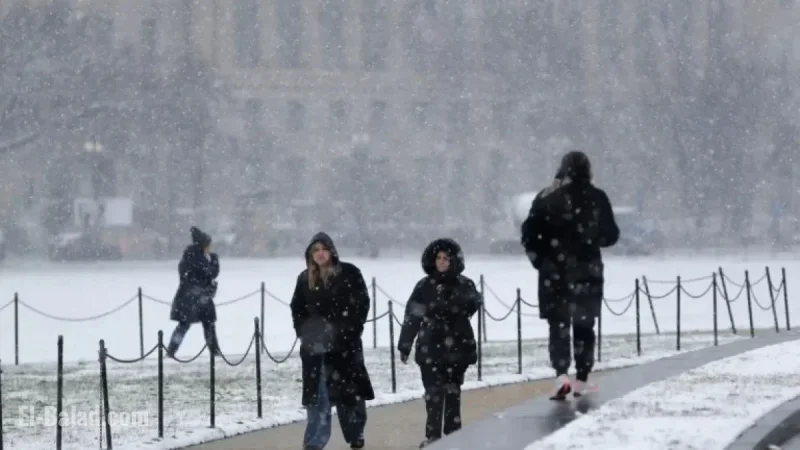 Winter Weather Shock: ‘Freezing Fog’ Alerts Affect Millions