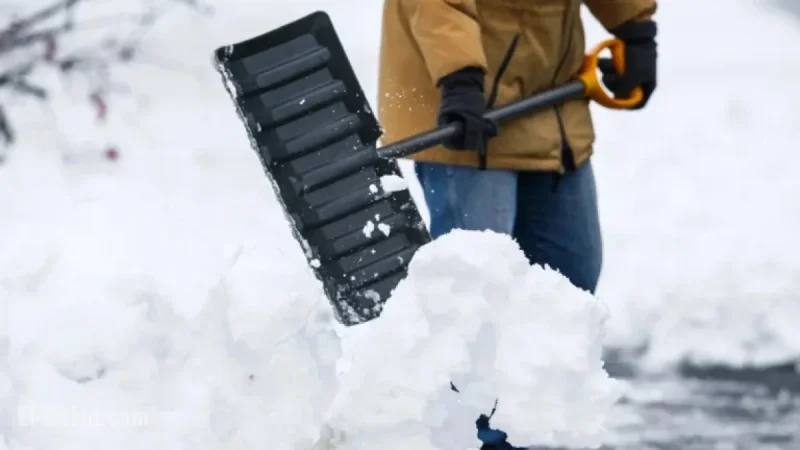 15 to 20 cm of Snow Expected Between Wednesday and Thursday