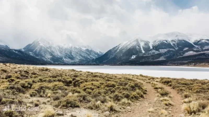 Experts Warn of Unprecedented Phenomenon Spreading Across the US