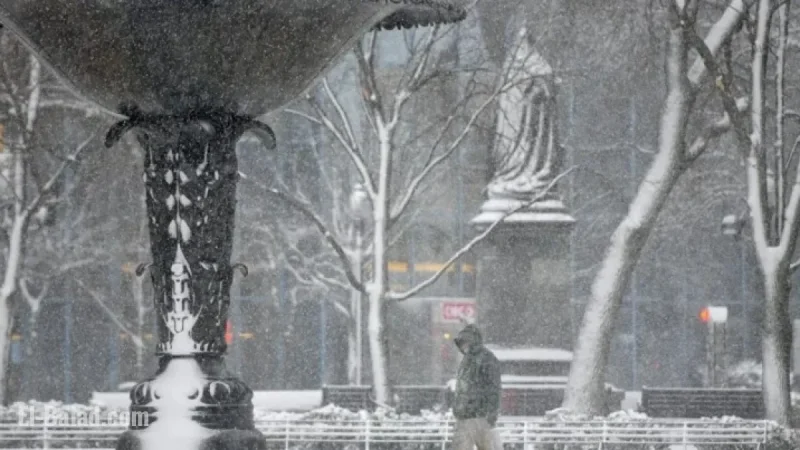 Hamilton Braces for ‘Alberta Clipper’ as Winter Weather Looms