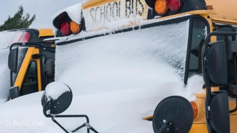 Minnesota Schools Close Amid Winter Storm: Latest Closures Listed