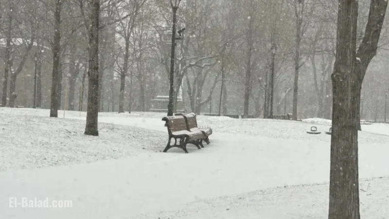 Montreal Prepares for Heavy Mid-Week Snow with Special Weather Alert