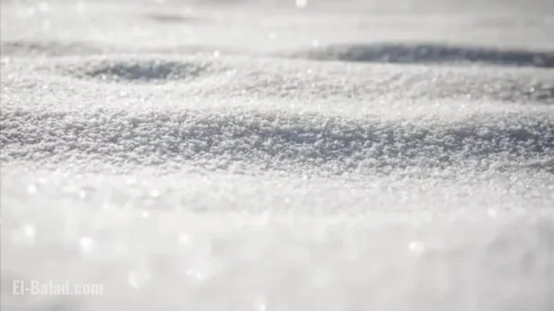 Winter Weather Advisory Issued for 7 Southeast Michigan Counties Due to Snow