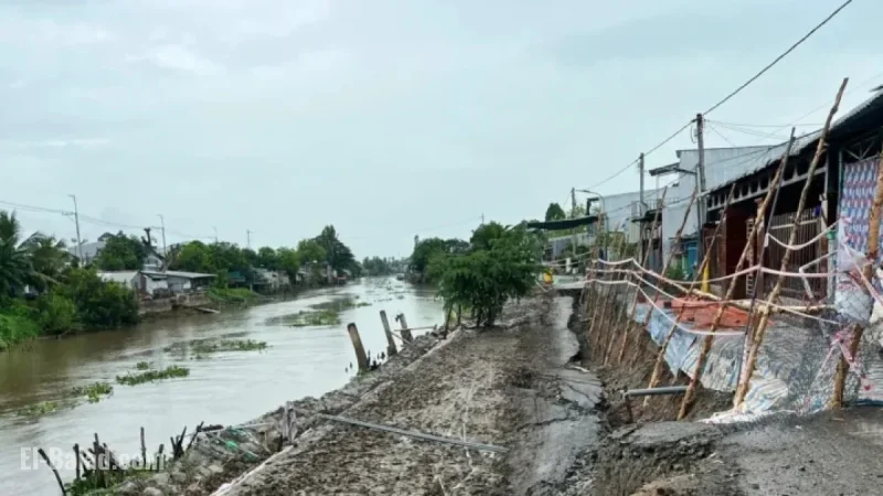 An Giang Erosion: 106 Incidents Cause 12 Billion Dong in Damages