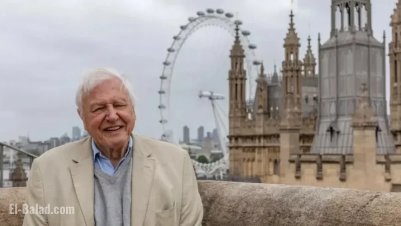 David Attenborough Unveils Fascinating Insights into London’s Urban Wildlife