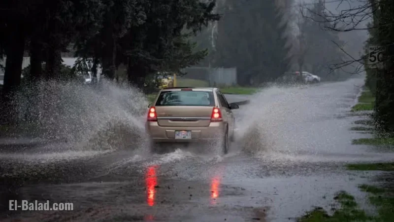 Heavy Rain Sparks Flood Warning for B.C.’s Fraser Valley