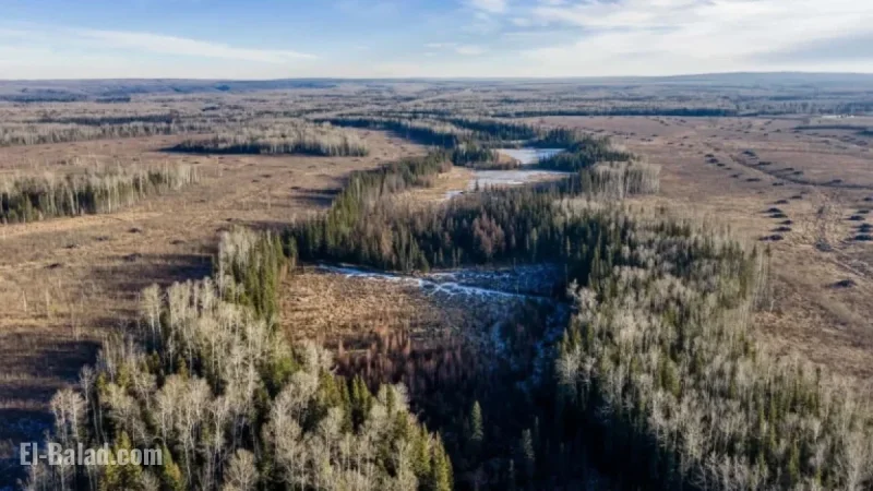 Kevin O’Leary’s Vision: The Reality Behind Wonder Valley Data Center