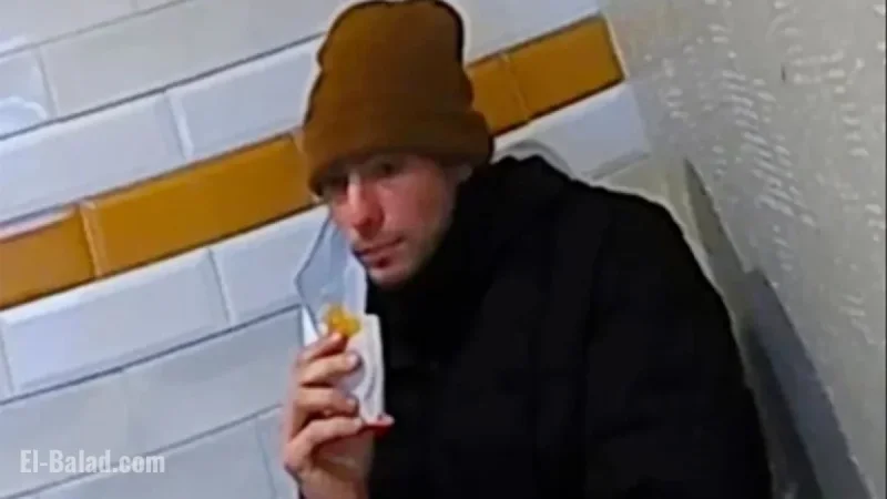 Luigi Mangione Prioritizes Eyebrow Plucking, Dodges FBI Pursuit