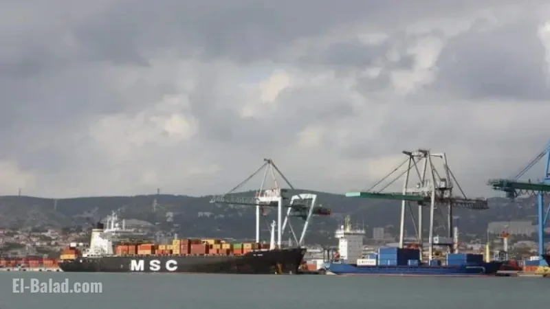 Opaque Ammonium Nitrate Transit in Marseille Port Alarms Officials and Experts