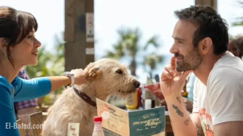 Review and Summary: Merv Movie (2025)