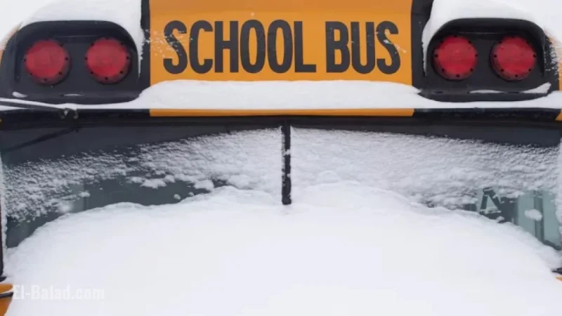 Snowy Conditions Halt School Buses in Parts of the GTHA