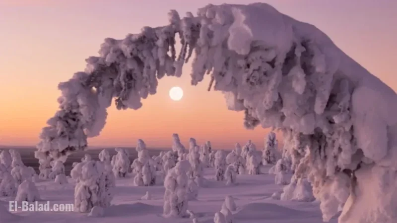 2025 Winter Solstice: Your Guide to the Start of Winter