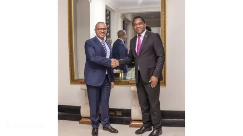 Amsons Group and Zambian Firm Partner for $900M Tanzania Power Projects