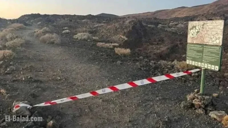 Cabildo Enacts Emergency Protocols in Tenerife for Storm Emilia