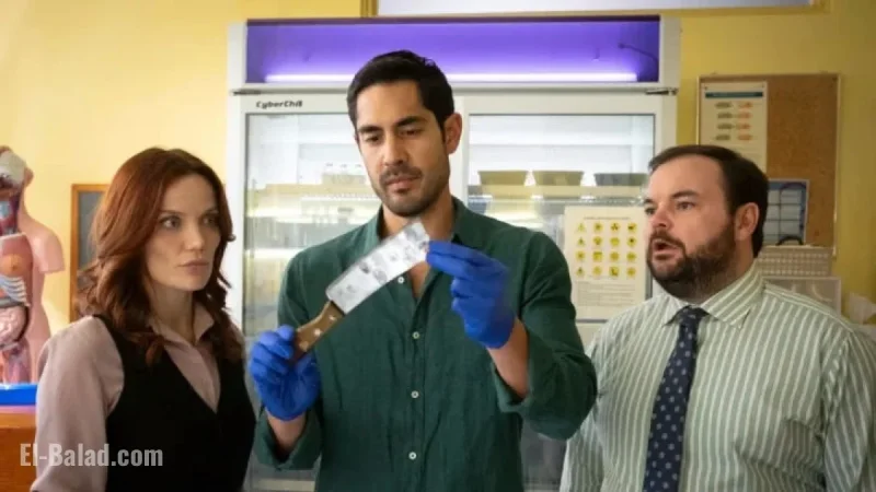 Discover “Return to Paradise”: Key Insights on the Down Under Detective Series