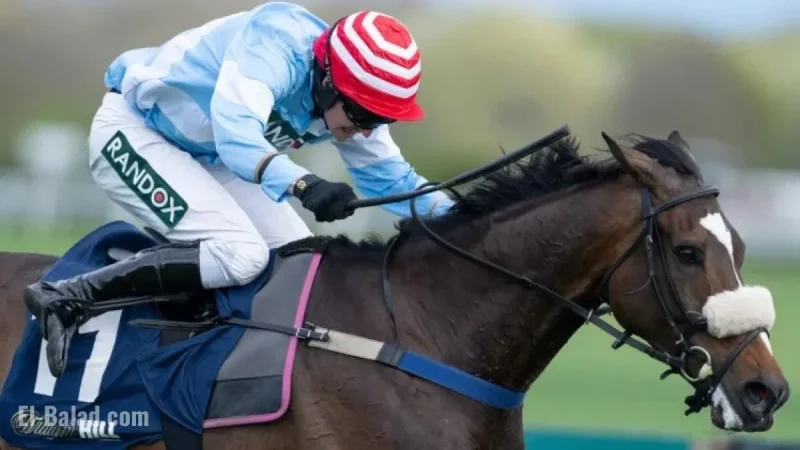 Keith Melrose Highlights Overlooked 20-1 Shot at Cheltenham Friday