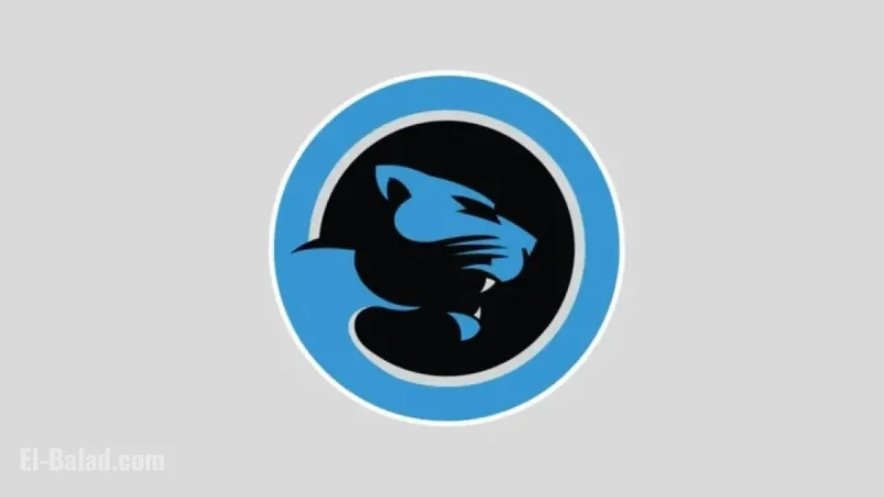 Maximize Carolina Panthers’ Playoff Chances: Week 15 Teams to Support