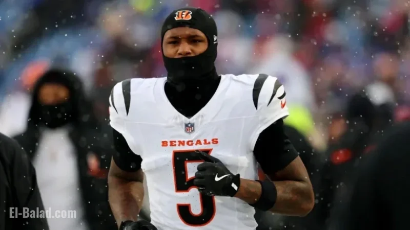 Tee Higgins Out for Ravens Game