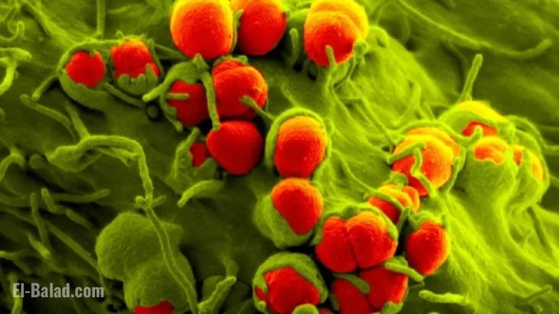 FDA Approves Nuzolvence: New Gonorrhea Treatment Pill Launched