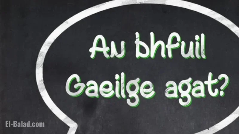 John Downing: Ireland Launches Its First Monolingual Irish Dictionary