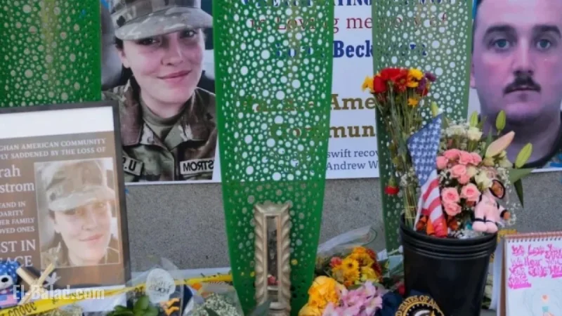 National Guard Member Andrew Wolfe Breathing Independently, Standing Post-D.C. Shooting