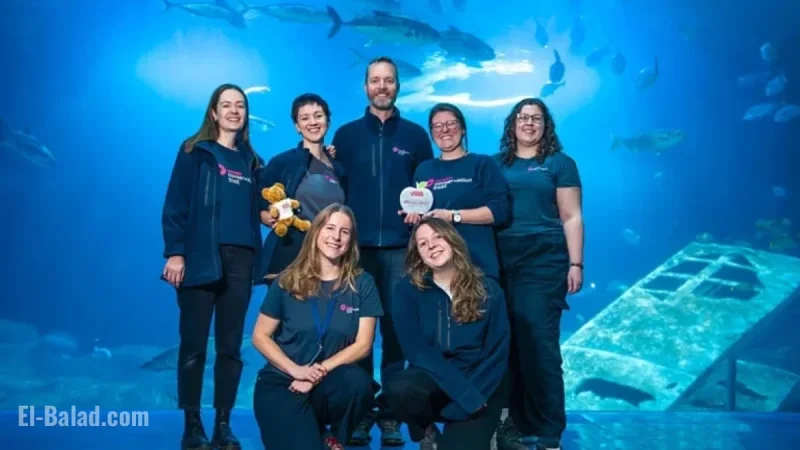 Weekly Highlights: Top Headlines from Plymouth Newspaper