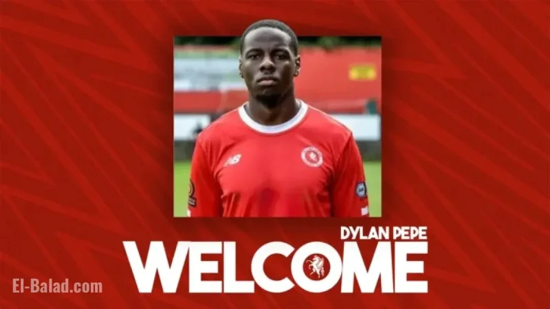 Wings Sign Defender Dylan Pepe for New Season