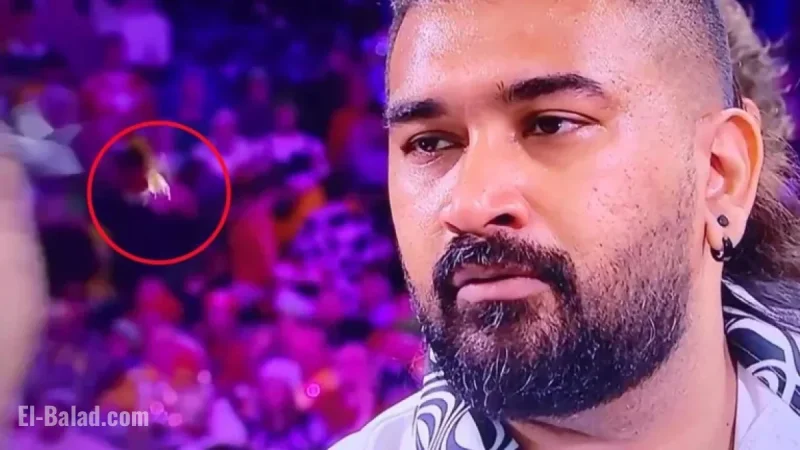 DART Strikes Notorious Ally Pally Wasp in Shocking Moment